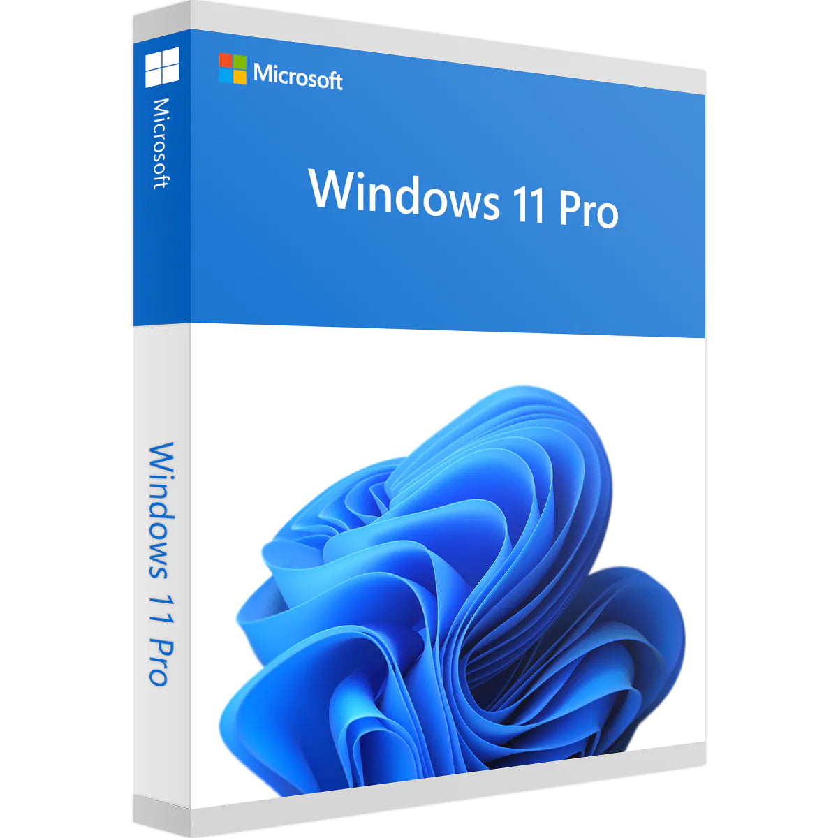 MicrosoftWindows11ProRetail